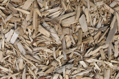 biomass boilers Dalabrog